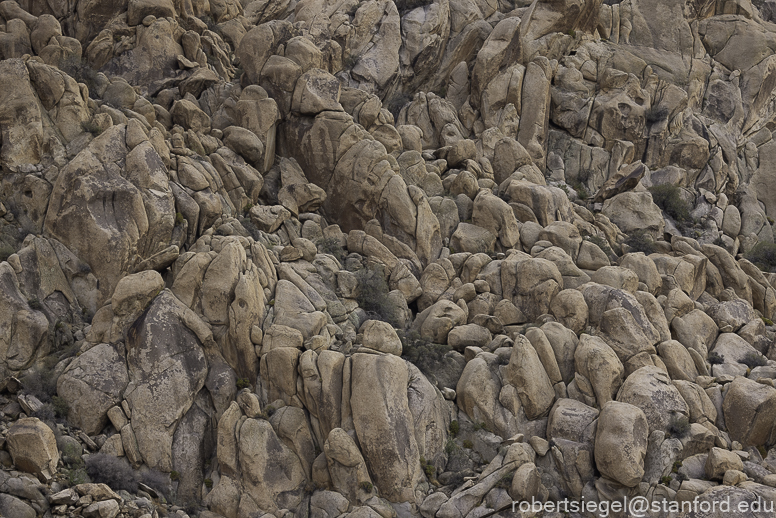 Joshua Tree National Park